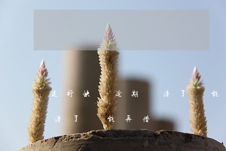 建行快貸逾期還清了還能借嗎-建行快貸還清了還能再借嗎