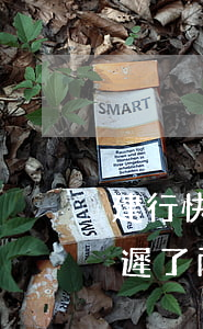 建行快貸遲了兩天還款還能貸嗎-建行快貸遲了兩天還款還能貸嗎怎么辦