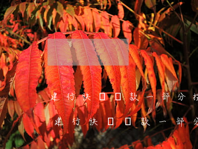 建行快貸還款一部分按什么計(jì)息-建行快貸還款一部分按什么計(jì)息的
