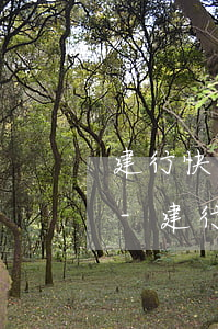 建行快貸還款了怎么沒(méi)有額度了-建行快貸還款了怎么沒(méi)有額度了呢