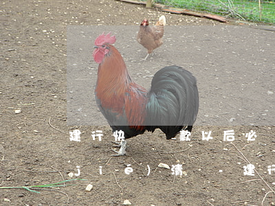 建行快貸還款以后必須點(diǎn)結(jié)清嗎-建行快貸還款以后必須點(diǎn)結(jié)清嗎怎么辦