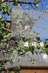 建行快貸還款后額度還不上怎么辦-建行快貸還款后額度還不上怎么辦呢