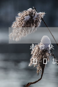 建行快貸還款日當天最遲推遲幾天-建行快貸還款日當天最遲推遲幾天還款