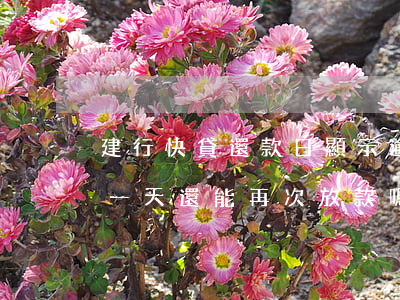 建行快貸還款日顯示逾期(建設銀行快貸逾期一天還能再次放款嗎)