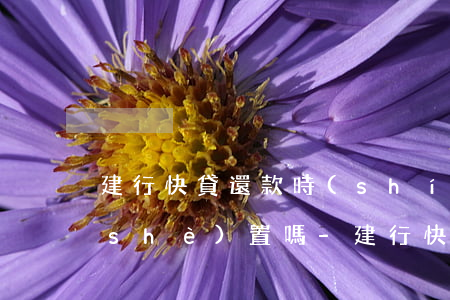 建行快貸還款時(shí)間可以自己設(shè)置嗎-建行快貸還款時(shí)間可以自己設(shè)置嗎安全嗎