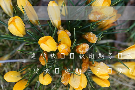 建行快貸還款逾期了兩天(建設(shè)銀行快貸逾期一天還能再次放款嗎)