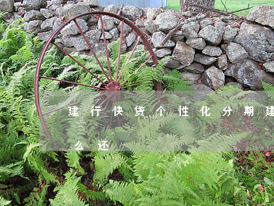 建行快贷个性化分期(建行快贷个性化分期怎么还)