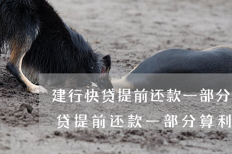 建行快贷提前还款一部分算利息吗-建行快贷提前还款一部分算利息吗怎么算