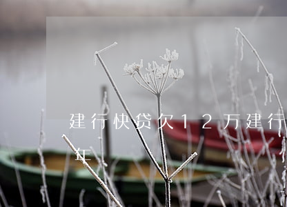 建行快贷欠12万(建行快贷15000欠四年)