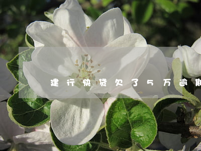 建行快贷欠了5万逾期了(建行快贷无法还款)