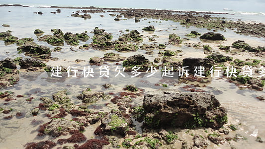 建行快贷欠多少起诉(建行快贷多久起诉)
