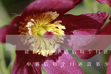 建行快贷申请后每个月还款多少-建行快贷申请后每个月还款多少钱