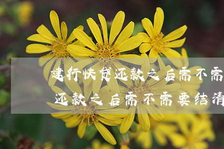 建行快贷还款之后需不需要结清-建行快贷还款之后需不需要结清贷款