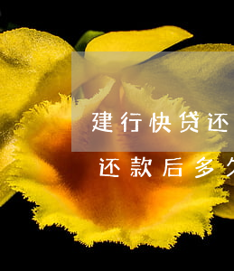 建行快贷还款后多久可以提前还-建行快贷还款后多久可以提前还款