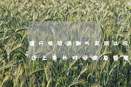 建行快贷逾期5天可以吗(建行快贷逾期1天还上多长时间恢复额度)