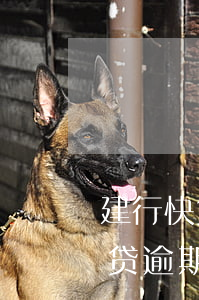 建行快贷逾期三个月了还有额度吗-建行快贷逾期三个月了还有额度吗怎么办