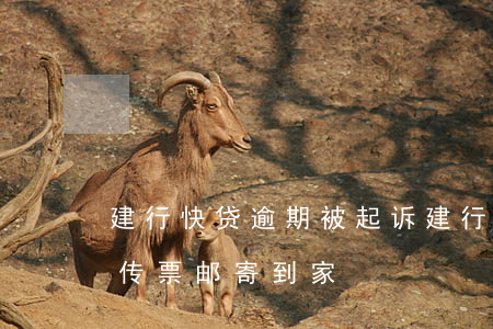 建行快贷逾期被起诉(建行快贷逾期被起诉了传票邮寄到家)
