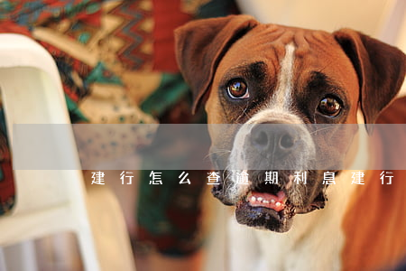 建行怎么查逾期利息(建行房貸逾期查詢)