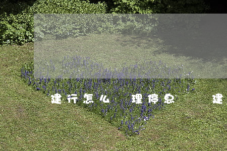 建行怎么辦理停息掛賬（建行怎么才能停息掛賬）