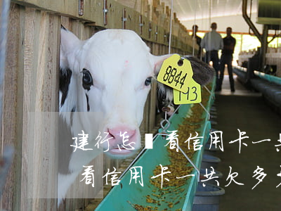 建行怎樣看信用卡一共欠多少錢-建行怎樣看信用卡一共欠多少錢了