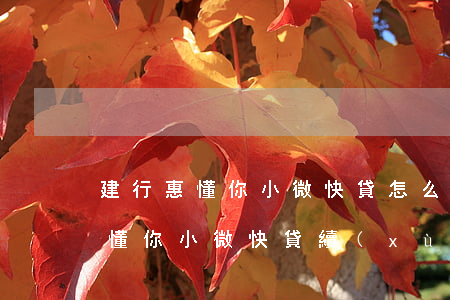建行惠懂你小微快貸怎么延期還款-建行惠懂你小微快貸續(xù)貸