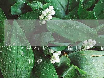 建行房貸沒逾期快貸逾期(有建行房貸竟然沒有快貸)