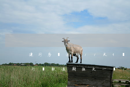 建行房貸逾期11天3塊(建設(shè)銀行貸款逾期拖欠一個(gè)月還是被起訴了)