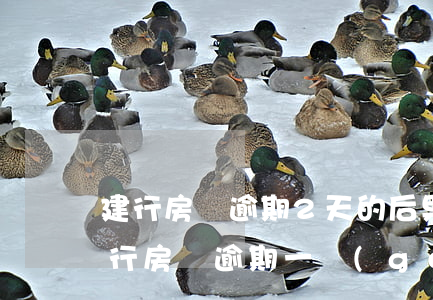 建行房貸逾期2天的后果(建設(shè)銀行房貸逾期一個(gè)月會(huì)有什么后果)