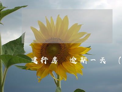 建行房貸逾期一天嚴(yán)重嗎