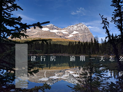 建行房貸逾期一天怎么辦(中國(guó)建設(shè)銀行房貸逾期怎么處理)