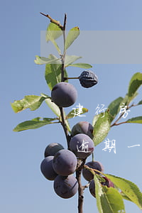建行房貸逾期八天(建設(shè)銀行房貸逾期一天利息多少錢(qián))