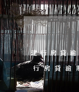 建行房貸逾期多久或者多少金額會被起訴（建行房貸逾期被起訴怎么辦）
