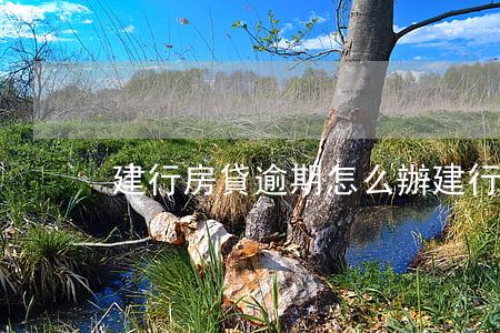 建行房貸逾期怎么辦 建行房貸逾期怎么辦