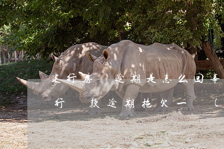 建行房貸逾期是怎么回事(建設(shè)銀行貸款逾期拖欠一個(gè)月還是被起訴了)