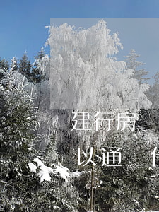 建行房貸逾期會到家找嗎(建行房貸逾期了可以通過什么方式補(bǔ)救?)