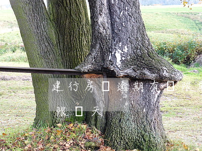 建行房貸逾期有寬限期么(建行房貸還款日寬限幾天)