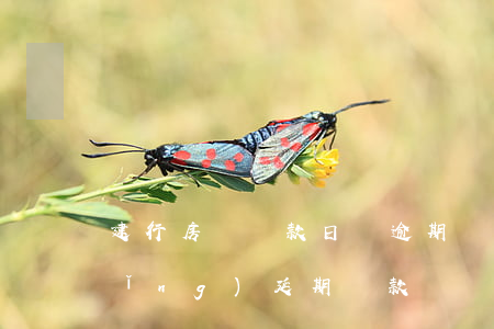 建行房貸還款日還逾期嗎(建行房貸申請(qǐng)延期還款)