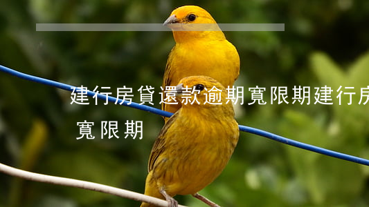 建行房貸還款逾期寬限期(建行房貸還款逾期寬限期)