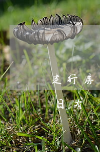 建行房貸還款逾期日有嗎(建行房貸還款逾期日有嗎)