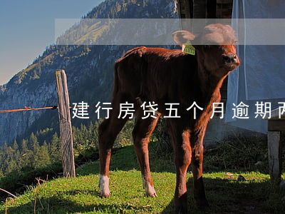 建行房贷五个月逾期两次