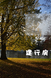 建行房贷信用卡逾期一天(建行房贷逾期一周)