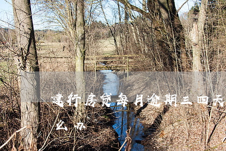 建行房贷每月逾期三四天(房贷逾期三四天怎么办)