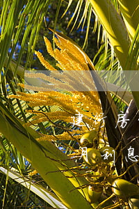 建行房贷逾期两个月利息(建行房贷逾期两个月利息)