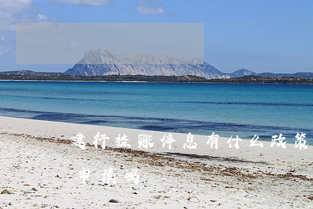 建行挂账停息有什么政策(建行停息挂账容易申请吗)