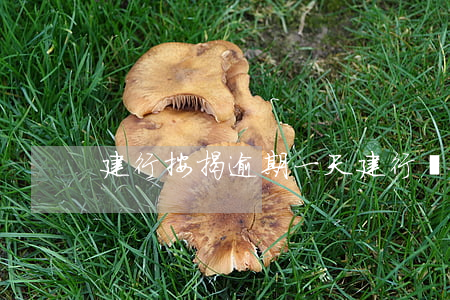 建行按揭逾期一天(建行貸款逾期一周)