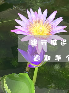 建行推迟一天还信用卡算逾期吗?（建行信用卡逾期半个月还有救吗）