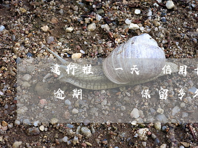 建行推遲一天還信用卡算逾期嗎?（建行信用卡逾期記錄會保留多久）