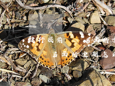 建行提前還貸后面的逾期怎么辦-建行提前還貸后面的逾期怎么辦理