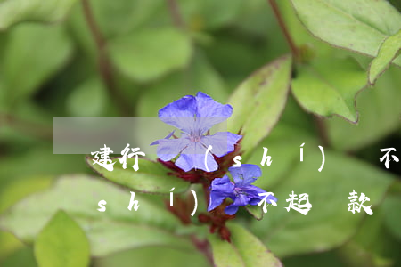 建行暫時(shí)還不起貸款(建行暫時(shí)還不起貸款會(huì)怎么樣)