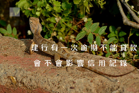 建行有一次逾期不能貸款(建行貸款逾期一天會不會影響信用記錄)